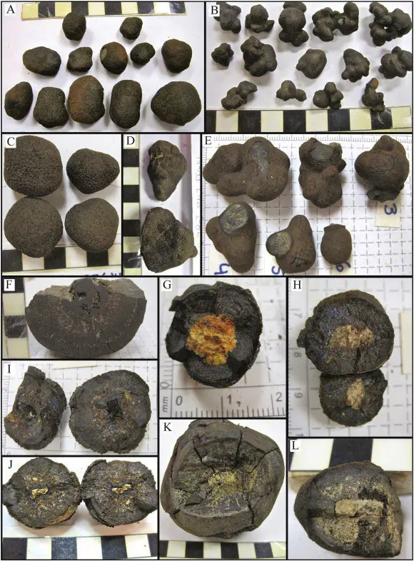 Photographic panels showing whole manganese nodules and cut specimens beside measurement scales