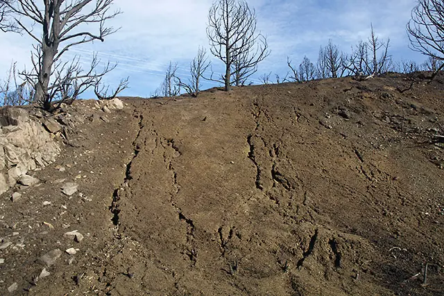 Land Degradation and the Slow Loss of Productive Soil