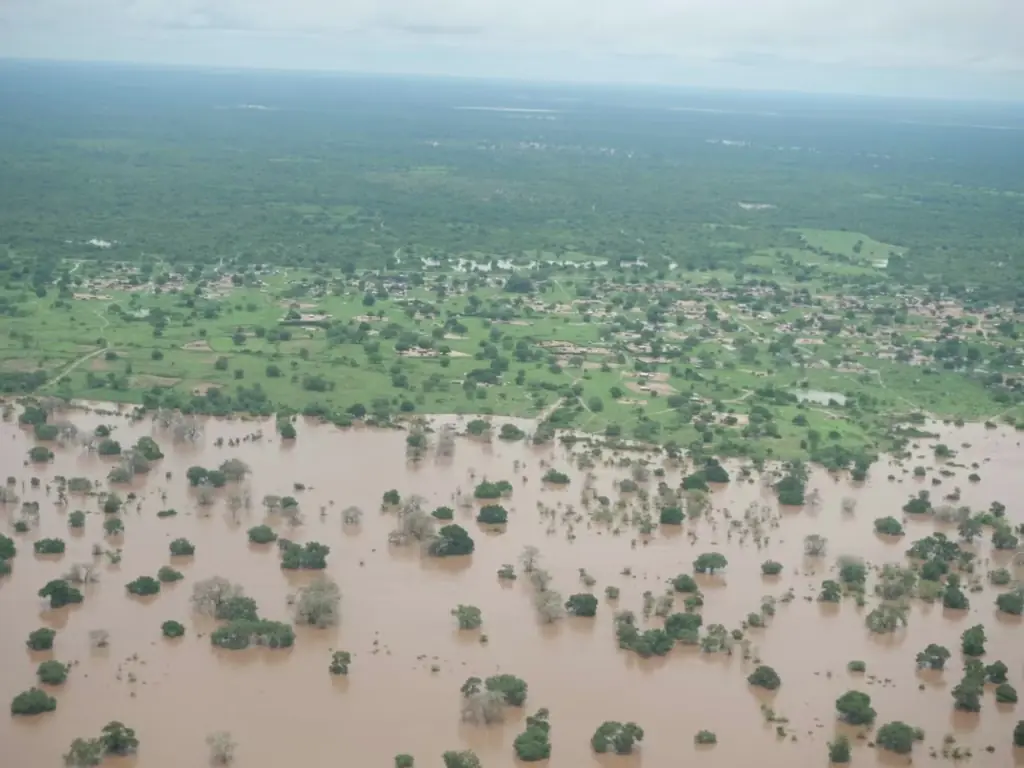 Aerial view of muddy floodwater surrounding trees and buildings, with a settlement on greener land beyond.