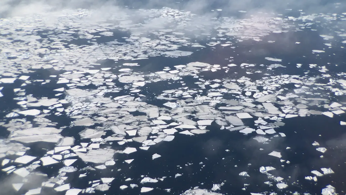 Arctic Sea Ice and the Winter That Failed to Rebuild It