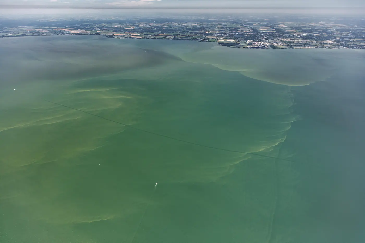 An aerial photograph shows broad green patches of algal growth across western Lake Erie.